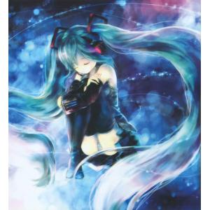 初音未来 H (78)