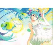初音未来 N (81)