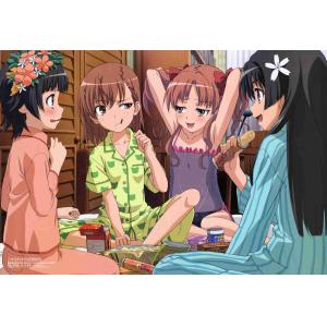 科学超电磁炮 A (16)