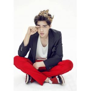 李易峰 A (11)
