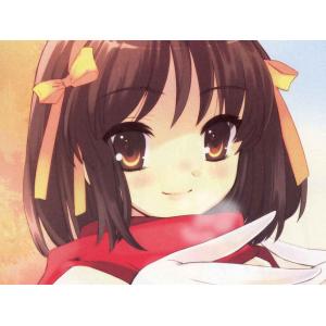凉宫春日的忧郁 A (21)