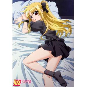 魔法少女奈叶 A (29)