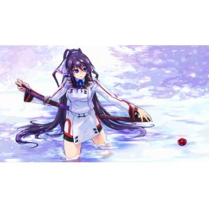 无限斯特拉托斯2 A (4)