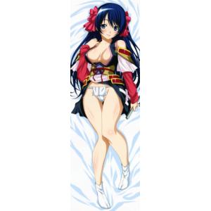 高清抱枕 335