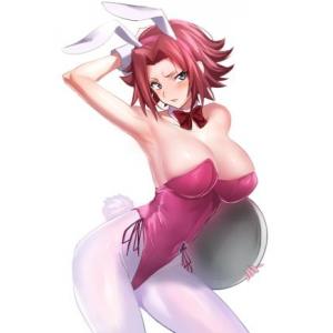 鲁路修 (10)