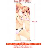 (60X170)BH091-刀剑神域塑杆布挂画