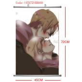 (45X72)BH168-黑塔利亚塑杆布挂画(提前1天预定