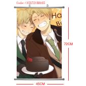(45X72)BH165-黑塔利亚塑杆布挂画(提前1天预定
