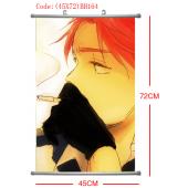 (45X72)BH164-黑塔利亚塑杆布挂画(提前1天预定
