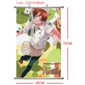 (45X72)BH163-黑塔利亚塑杆布挂画(提前1天预定