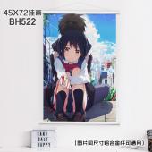(45X72)BH522-你的名字动漫白色塑料杆挂画