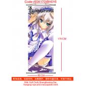 (60×170)BH016-11eyes塑杆布挂画