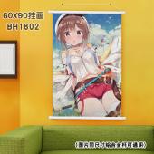 (60X90)BH1802-莱莎的炼金工房 游戏白色塑料杆挂...