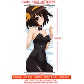 40X100 BH265-凉宫塑杆布挂画