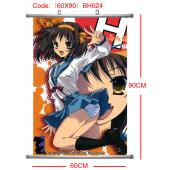 BH024-60X90凉宫春日塑杆布挂画(提前1天预定)
