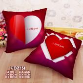 FBZ154-520 60X60方抱枕