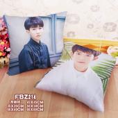 FBZ214-王源明星方抱枕