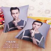 FBZ208-陈伟霆明星方抱枕