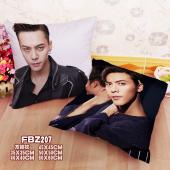 FBZ207-陈伟霆明星方抱枕