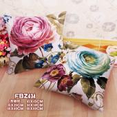 FBZ434-画芯方抱枕