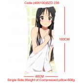 40x100 BZD236-轻音单面长抱枕