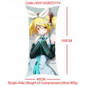 40x100 BZD174-镜音双子单面长抱枕