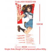 (40x100)BZD168-凉宫单面长抱枕