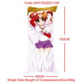 (40X100)BZD248-魔法少女奈叶单面长抱枕